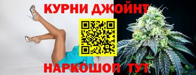 амф Гатчина