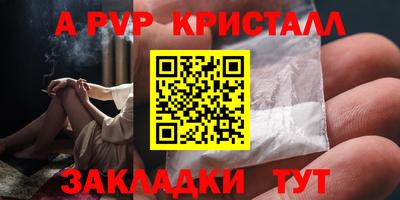амф Гатчина