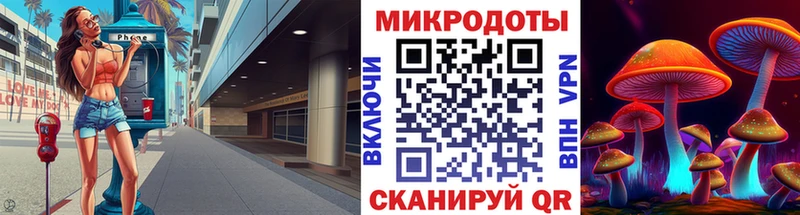 Галлюциногенные грибы Psilocybine cubensis блэк спрут ссылка маркетплейс формула Петропавловск-Камчатский