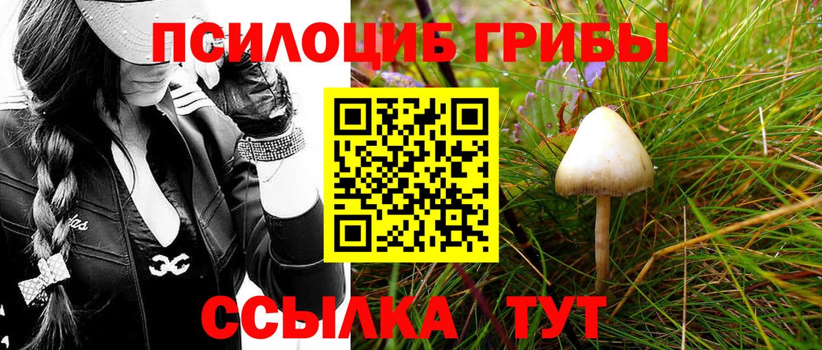 Галлюциногенные грибы MAGIC MUSHROOMS  Петропавловск-Камчатский 