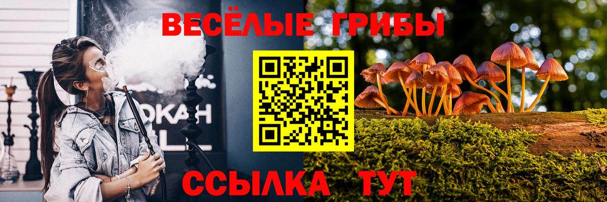 Псилоцибиновые грибы GOLDEN TEACHER Петропавловск-Камчатский