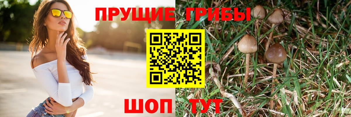 Псилоцибиновые грибы Magic Shrooms  Вход с VPN  Петропавловск-Камчатский  Галлюциногенные грибы MAGIC MUSHROOMS 