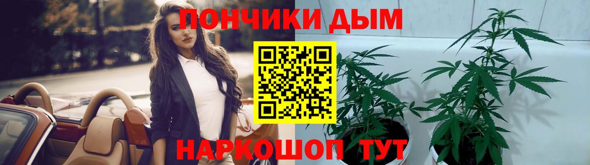 Шишки марихуана конопля Петропавловск-Камчатский